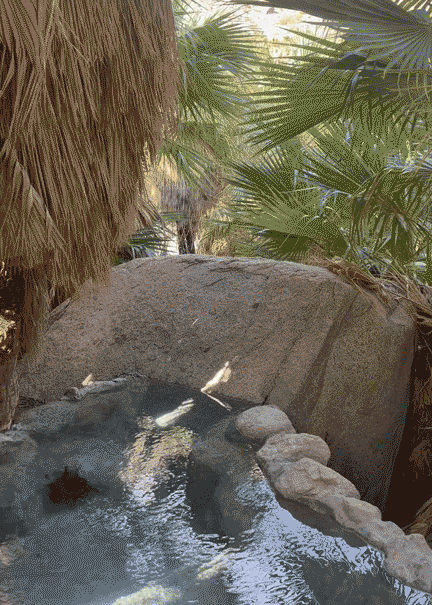 Hot Spring Gif