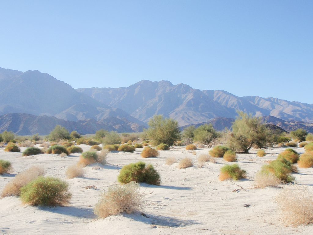 View Towards the Mountains