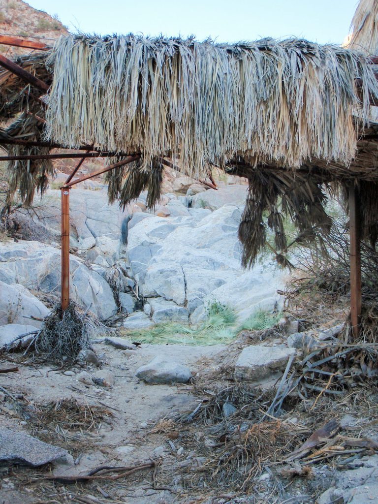 Abandoned Campsite