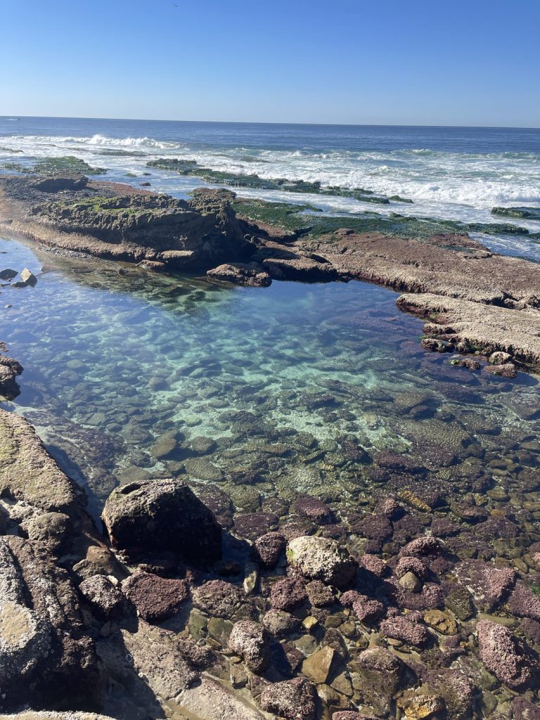 View From La Jolla Cove
